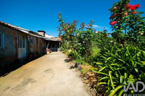 Rækkehus i Miranda do Corvo, Coimbra, Miranda do Corvo - € 90.000 | Ref: 917409 - foto 32