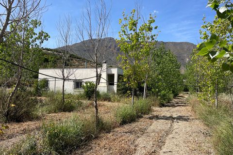 Landejendom i Bentarique, Almeria, Bentarique - € 265.000 | Ref: BENT-26-734 - foto 3