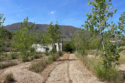 Landejendom i Bentarique, Almeria, Bentarique - € 265.000 | Ref: BENT-26-734 - foto 41