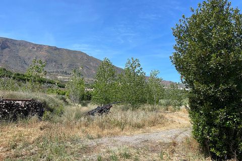 Landejendom i Bentarique, Almeria, Bentarique - € 265.000 | Ref: BENT-26-734 - foto 43
