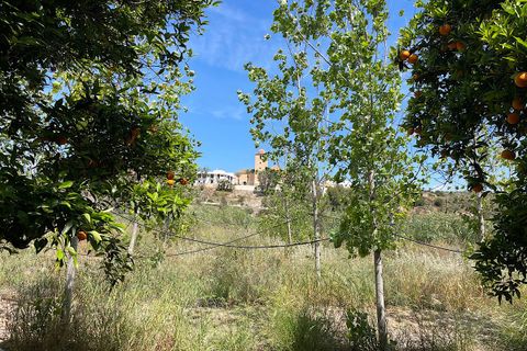 Landejendom i Bentarique, Almeria, Bentarique - € 265.000 | Ref: BENT-26-734 - foto 44