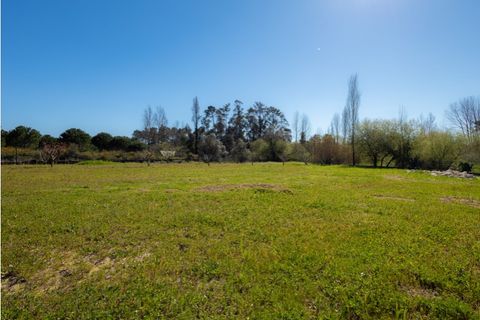 Villa a Cantanhede, Coimbra, Cantanhede - € 598.000 | Ref: CNTCM 6310 - foto 23