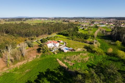Villa a Cantanhede, Coimbra, Cantanhede - € 598.000 | Ref: CNTCM 6310 - foto 44