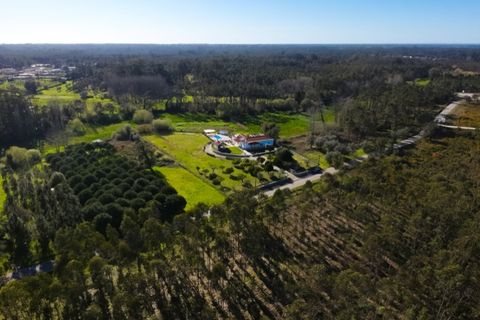 Villa a Cantanhede, Coimbra, Cantanhede - € 598.000 | Ref: CNTCM 6310 - foto 46