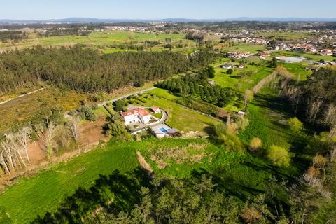 Villa a Cantanhede, Coimbra, Cantanhede - € 598.000 | Ref: CNTCM 6310 - foto 47