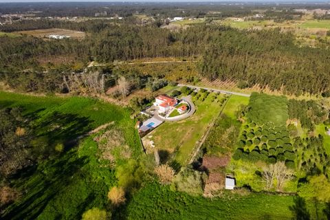 Villa a Cantanhede, Coimbra, Cantanhede - € 598.000 | Ref: CNTCM 6310 - foto 48