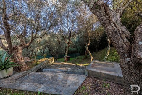 Villa i Camaiore, Lucca, Camaiore - € 615.000 | Ref: R06678CAVI - foto 12