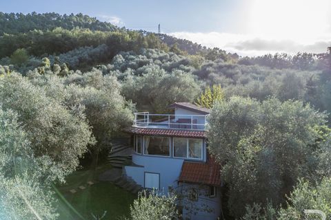 Villa i Camaiore, Lucca, Camaiore - € 615.000 | Ref: R06678CAVI - foto 20