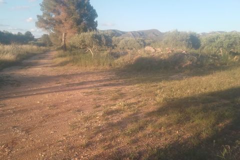 Villa i Ginestar, Gerona, Ginestar - € 120.000 | Ref: es5555052 - foto 3