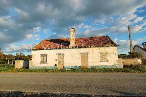 Villa a Montemor-o-Novo, Evora - foto 2