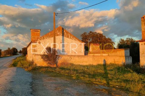 Villa a Montemor-o-Novo, Evora - foto 4