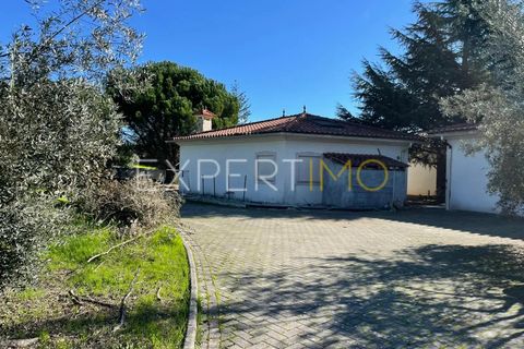 Villa i Pombal, Leiria, Pombal - € 550.000 | Ref: CAS_3464 - foto 13