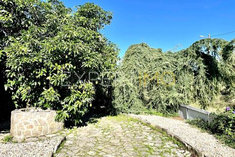 Villa i Pombal, Leiria, Pombal - € 550.000 | Ref: CAS_3464 - foto 15