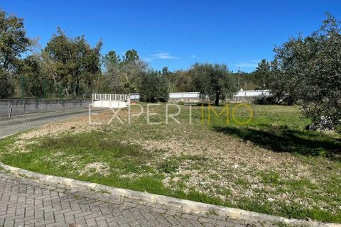 Villa i Pombal, Leiria, Pombal - € 550.000 | Ref: CAS_3464 - foto 16
