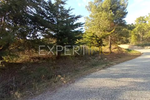 Farm i Guarda, Guarda, Guarda - € 98.000 | Ref: MAS_1867 - foto 1