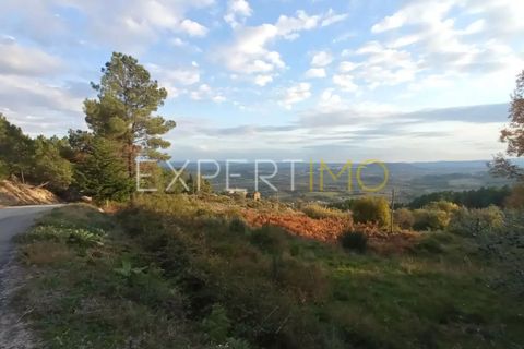 Farm i Guarda, Guarda, Guarda - € 98.000 | Ref: MAS_1867 - foto 4