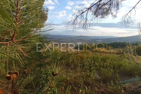 Farm i Guarda, Guarda, Guarda - € 98.000 | Ref: MAS_1867 - foto 5