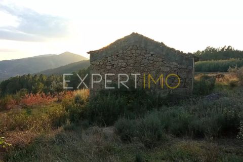 Farm i Guarda, Guarda, Guarda - € 98.000 | Ref: MAS_1867 - foto 12