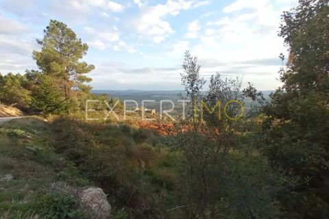 Farm i Guarda, Guarda, Guarda - € 98.000 | Ref: MAS_1867 - foto 19