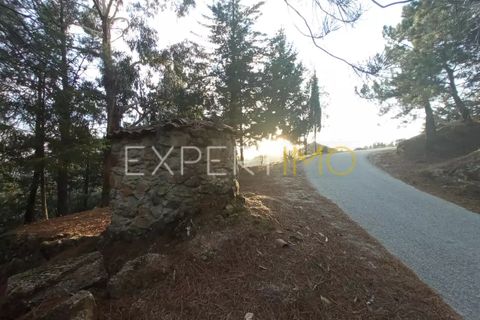 Farm i Guarda, Guarda, Guarda - € 98.000 | Ref: MAS_1867 - foto 22