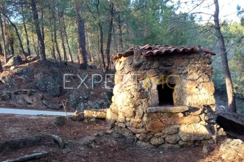 Farm i Guarda, Guarda, Guarda - € 98.000 | Ref: MAS_1867 - foto 23
