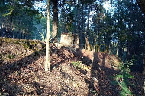 Farm i Guarda, Guarda, Guarda - € 98.000 | Ref: MAS_1867 - foto 24