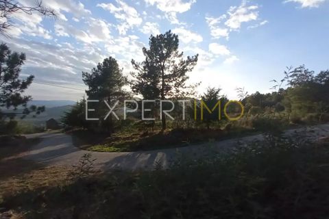 Gård i Guarda, Guarda, Guarda - € 98 000 | Ref: MAS_1867 - foto 2