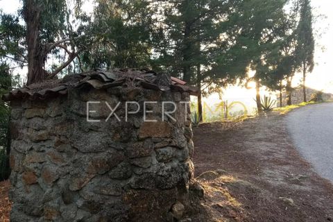 Gård i Guarda, Guarda, Guarda - € 98 000 | Ref: MAS_1867 - foto 3