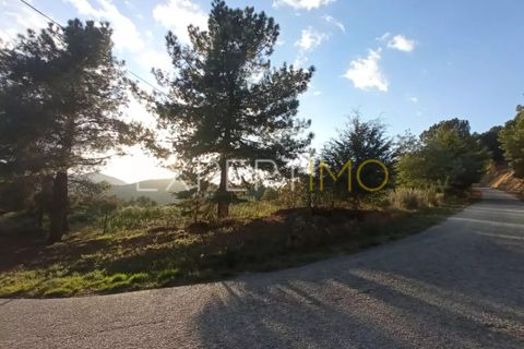 Gård i Guarda, Guarda, Guarda - € 98 000 | Ref: MAS_1867 - foto 13