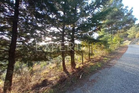 Gård i Guarda, Guarda, Guarda - € 98 000 | Ref: MAS_1867 - foto 14