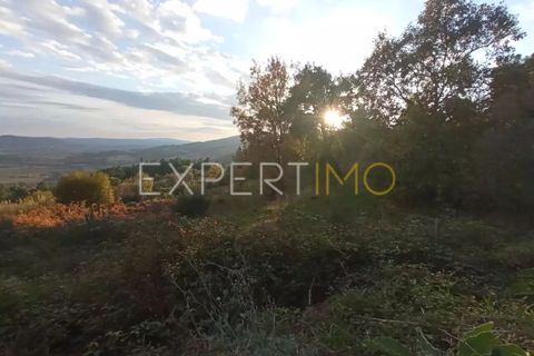 Gård i Guarda, Guarda, Guarda - € 98 000 | Ref: MAS_1867 - foto 16