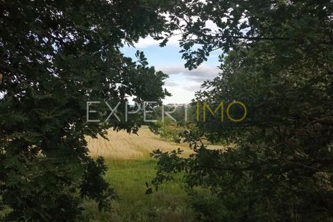 Farm i Guarda, Guarda, Guarda - € 35.000 | Ref: MAS_4492 - foto 3