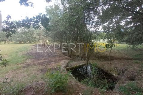 Farm i Guarda, Guarda, Guarda - € 35.000 | Ref: MAS_4492 - foto 4