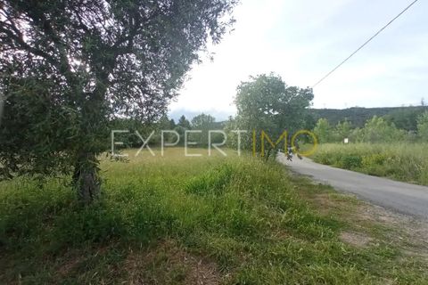 Farm i Guarda, Guarda, Guarda - € 35.000 | Ref: MAS_4492 - foto 5