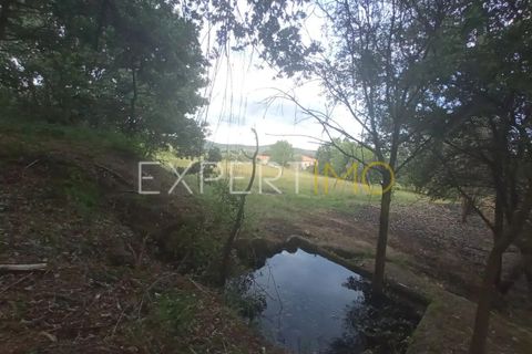 Farm i Guarda, Guarda, Guarda - € 35.000 | Ref: MAS_4492 - foto 8