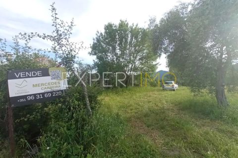 Farm i Guarda, Guarda, Guarda - € 35.000 | Ref: MAS_4492 - foto 10