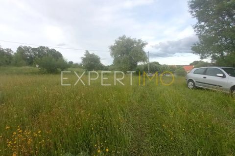Farm i Guarda, Guarda, Guarda - € 35.000 | Ref: MAS_4492 - foto 11
