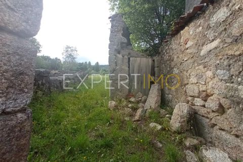 Farm i Guarda, Guarda, Guarda - € 35.000 | Ref: MAS_4492 - foto 13