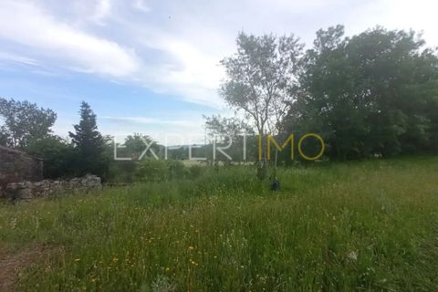 Farm i Guarda, Guarda, Guarda - € 35.000 | Ref: MAS_4492 - foto 14