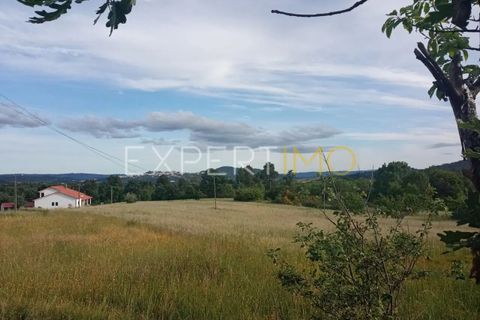 Farm i Guarda, Guarda, Guarda - € 35.000 | Ref: MAS_4492 - foto 15