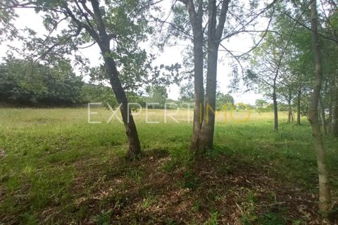 Farm i Guarda, Guarda, Guarda - € 35.000 | Ref: MAS_4492 - foto 16
