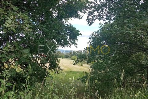 Farm i Guarda, Guarda, Guarda - € 35.000 | Ref: MAS_4492 - foto 17