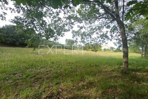 Farm i Guarda, Guarda, Guarda - € 35.000 | Ref: MAS_4492 - foto 18
