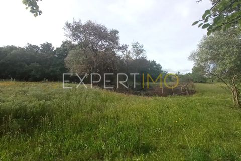 Farm i Guarda, Guarda, Guarda - € 35.000 | Ref: MAS_4492 - foto 19