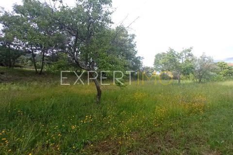 Farm i Guarda, Guarda, Guarda - € 35.000 | Ref: MAS_4492 - foto 20