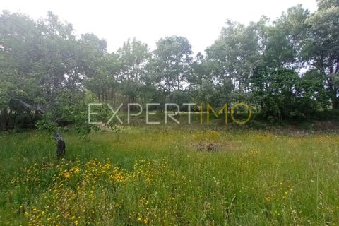 Farm i Guarda, Guarda, Guarda - € 35.000 | Ref: MAS_4492 - foto 21