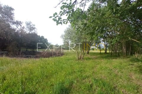 Farm i Guarda, Guarda, Guarda - € 35.000 | Ref: MAS_4492 - foto 22