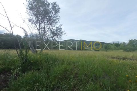 Farm i Guarda, Guarda, Guarda - € 35.000 | Ref: MAS_4492 - foto 24