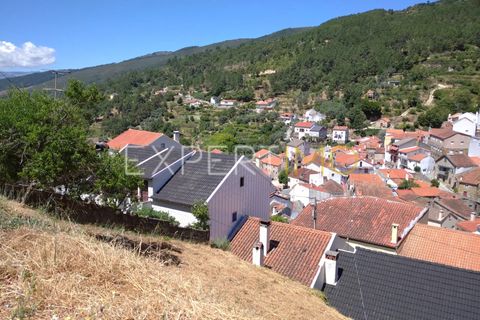 Terra a Guarda, Guarda, Guarda - € 7.500 | Ref: MC_016_MCAR - foto 2