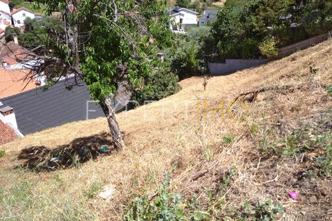 Terra a Guarda, Guarda, Guarda - € 7.500 | Ref: MC_016_MCAR - foto 8